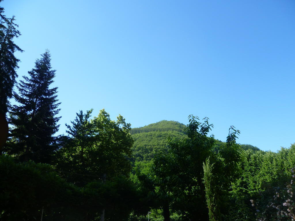 Villa Lucchesi Bagni di Lucca Exterior photo